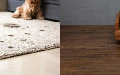 Carpet or Hardwood Flooring: Find out which is better?