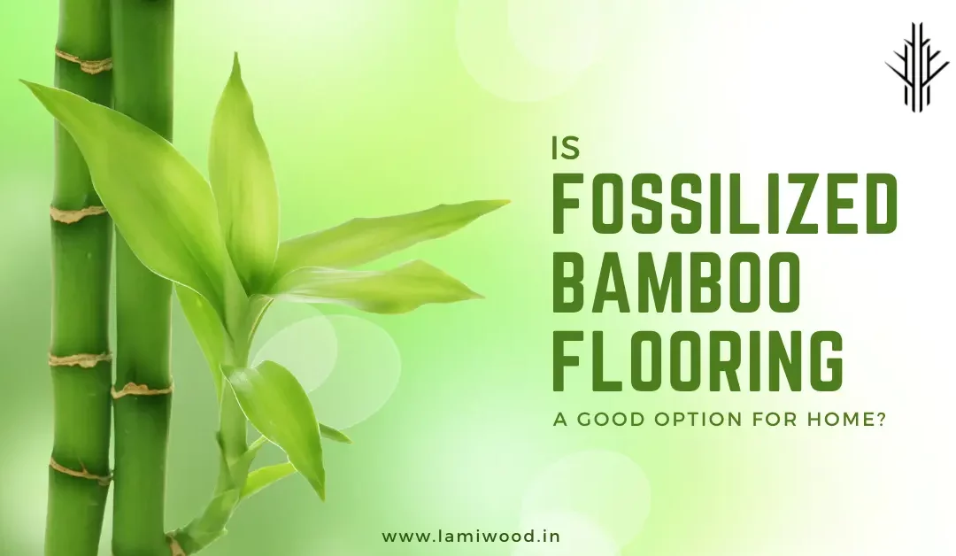 Is Fossilized Bamboo Flooring a good option for Home - Lamiwood Floors