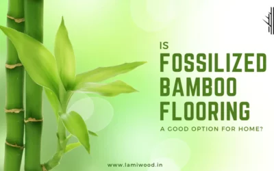 Is Fossilized Bamboo Flooring a Good Option for Home?