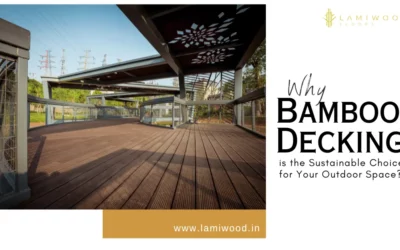Why Bamboo Decking is the Sustainable Choice for Your Outdoor Space?