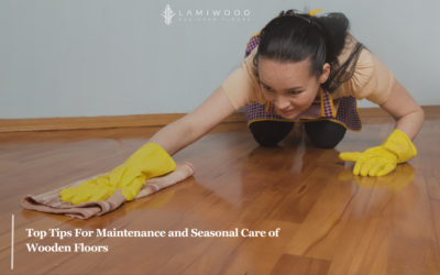 Top Tips For Maintenance and Seasonal Care of Wooden Floors
