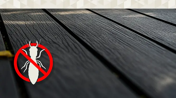 deck flooring Insect & Termite Proof
