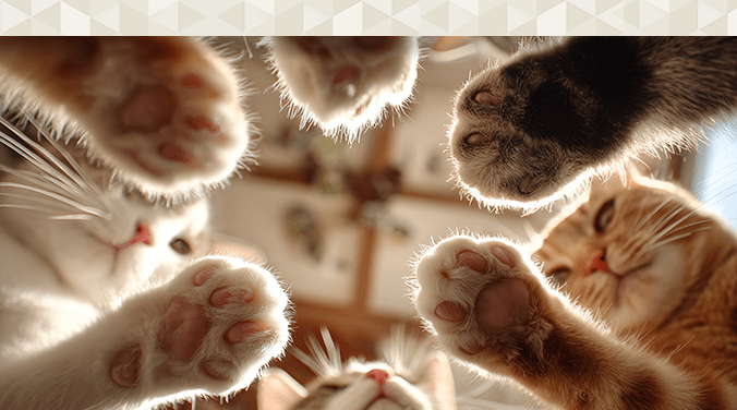 Pet parents